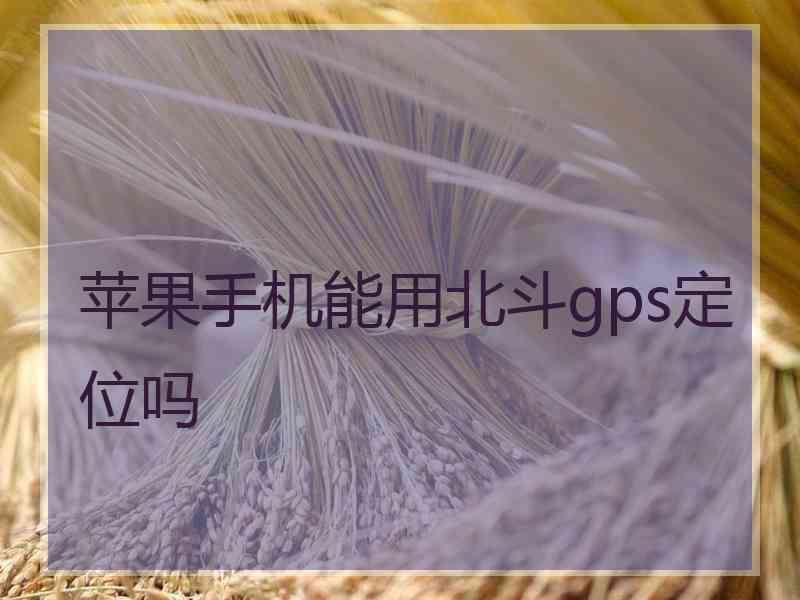 苹果手机能用北斗gps定位吗