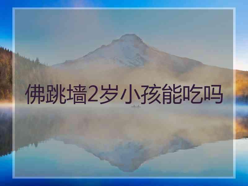 佛跳墙2岁小孩能吃吗