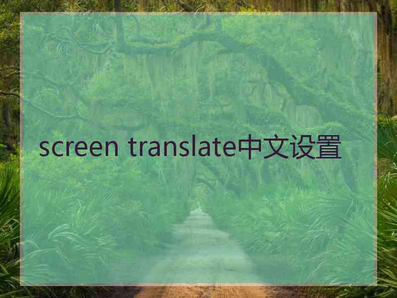 screen translate中文设置