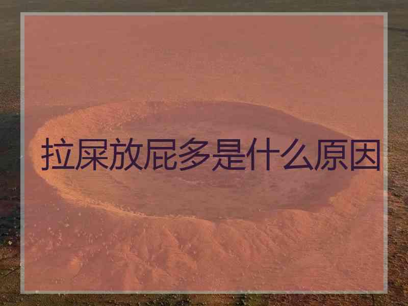 拉屎放屁多是什么原因