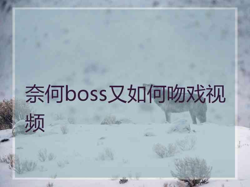 奈何boss又如何吻戏视频
