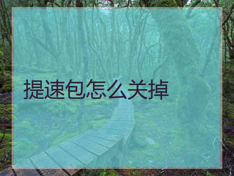 提速包怎么关掉