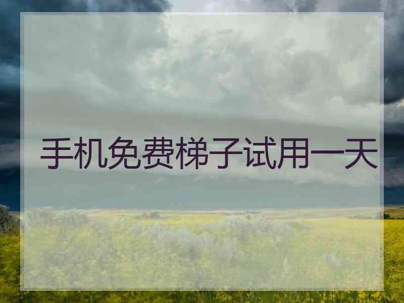 手机免费梯子试用一天