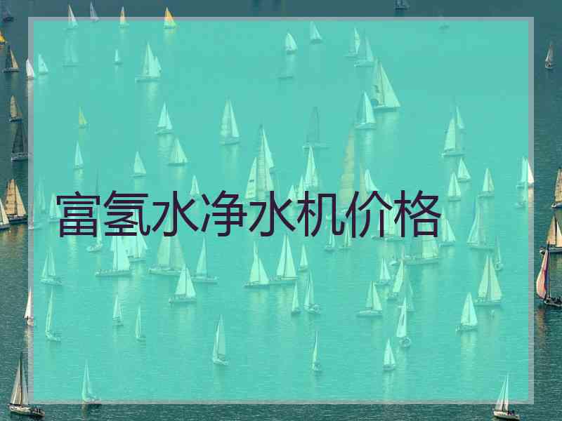 富氢水净水机价格