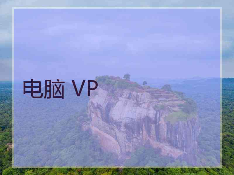 电脑 VP