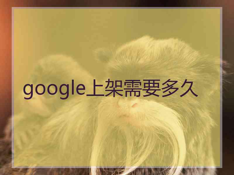 google上架需要多久