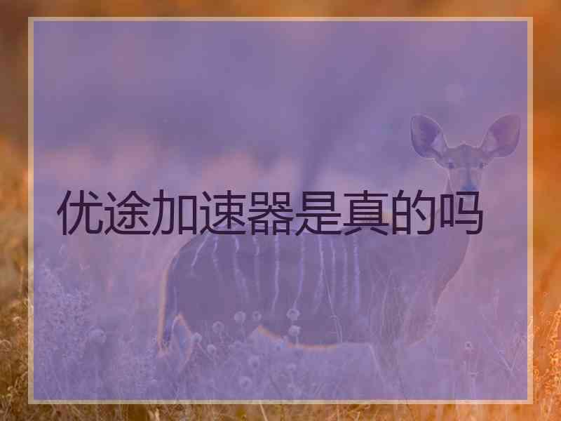优途加速器是真的吗