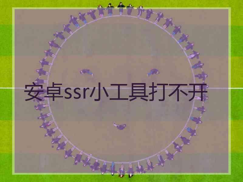 安卓ssr小工具打不开