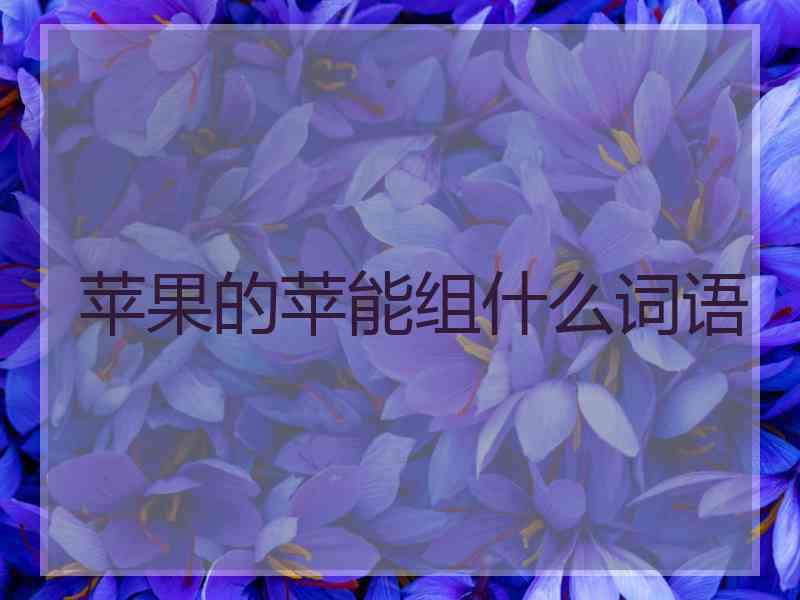 苹果的苹能组什么词语