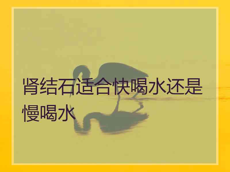 肾结石适合快喝水还是慢喝水
