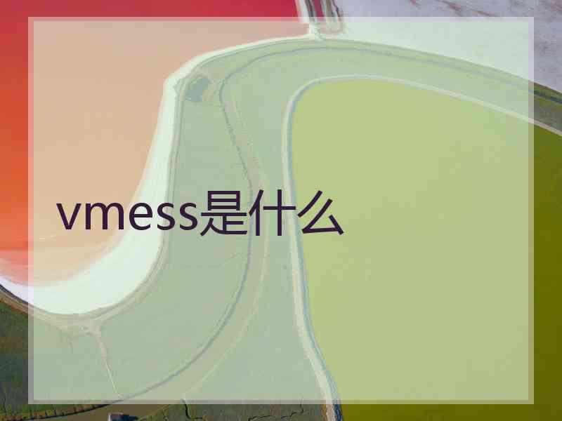 vmess是什么