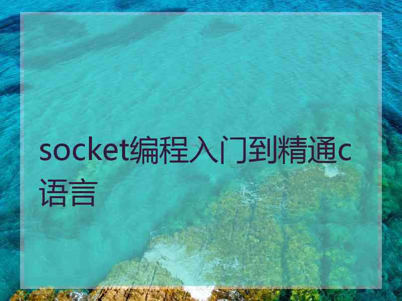 socket编程入门到精通c语言