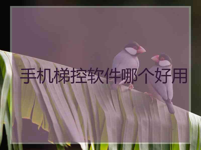 手机梯控软件哪个好用