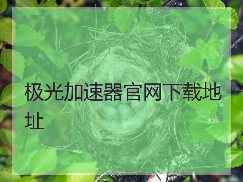 极光加速器官网下载地址
