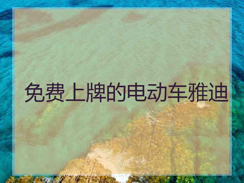 免费上牌的电动车雅迪