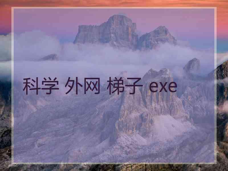 科学 外网 梯子 exe