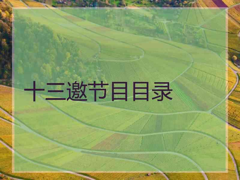 十三邀节目目录