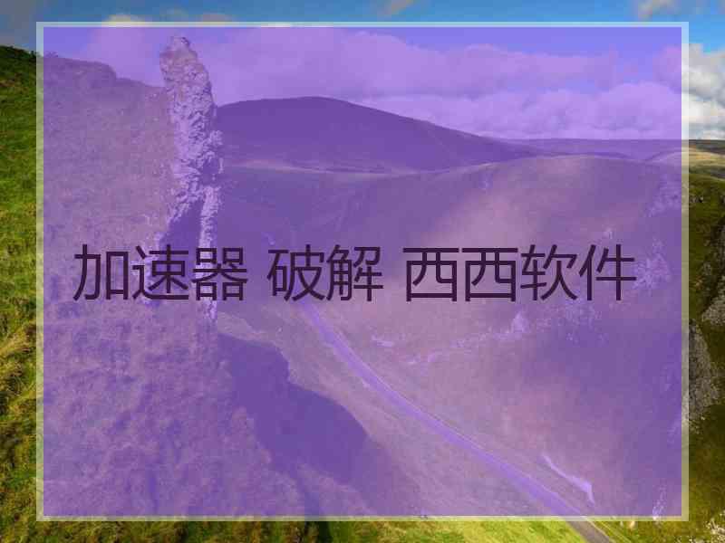 加速器 破解 西西软件