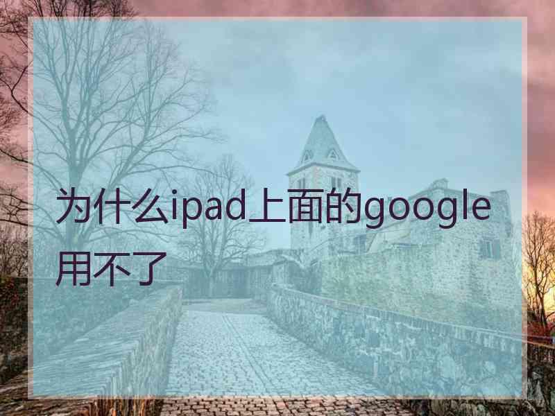 为什么ipad上面的google用不了