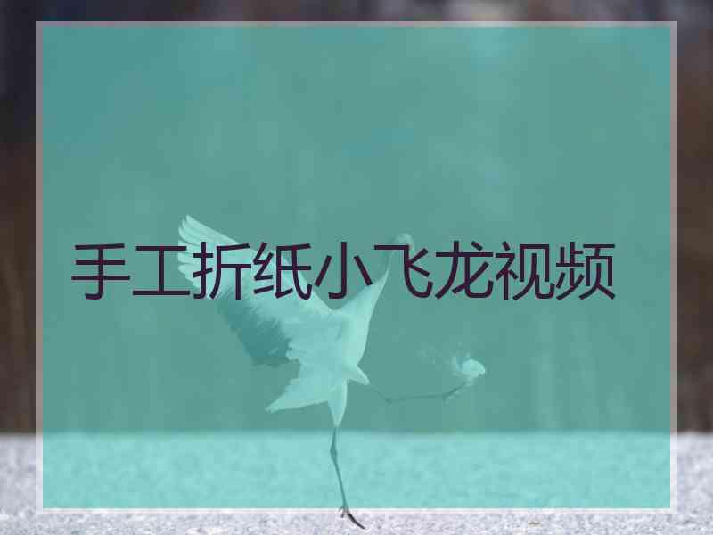 手工折纸小飞龙视频