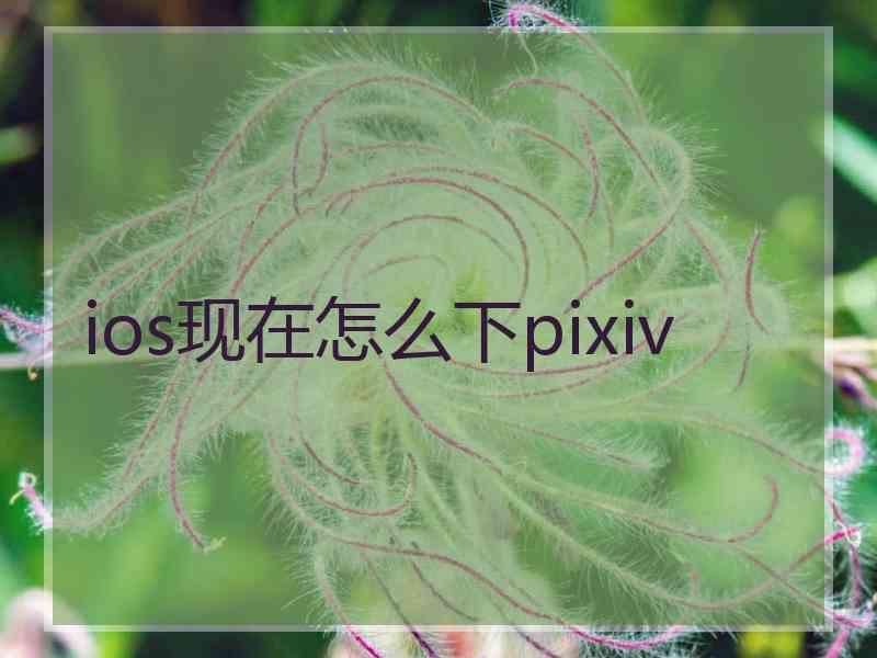ios现在怎么下pixiv