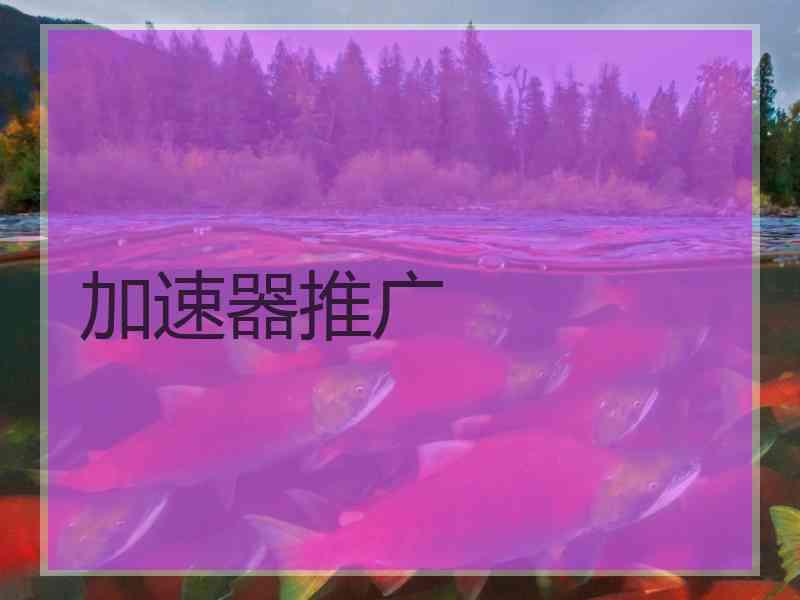加速器推广