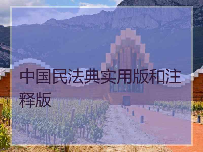 中国民法典实用版和注释版