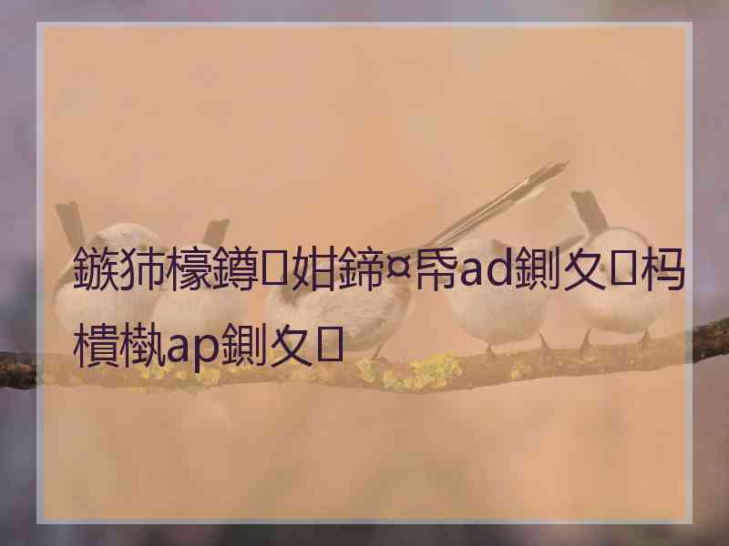 鏃犻檺鐏姏鍗¤帋ad鍘夊杩樻槸ap鍘夊