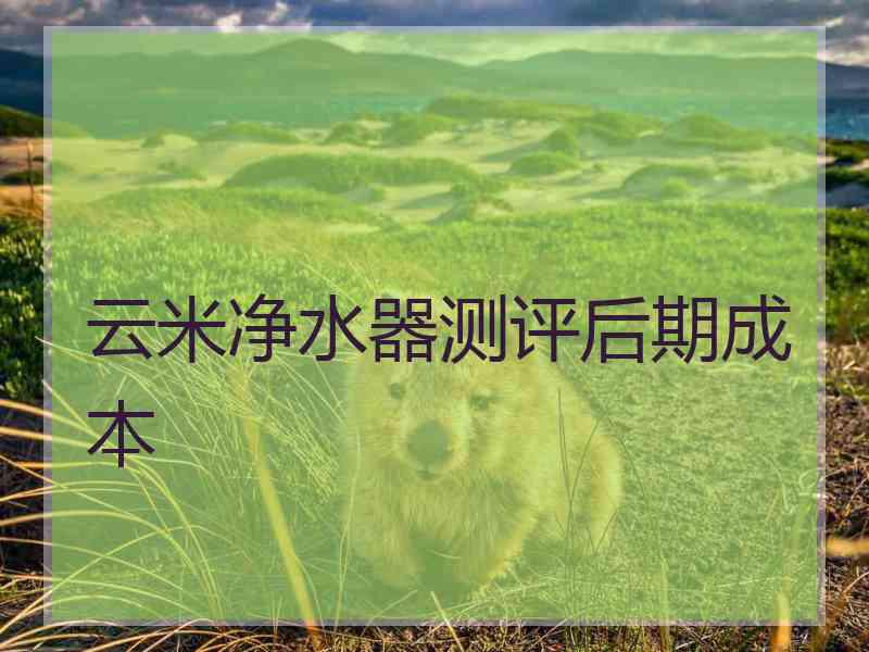 云米净水器测评后期成本