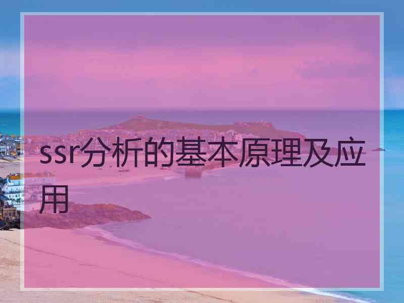 ssr分析的基本原理及应用