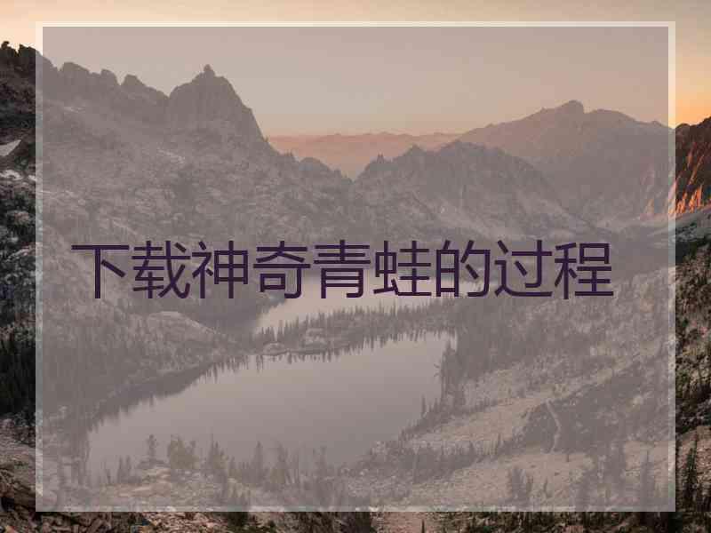 下载神奇青蛙的过程