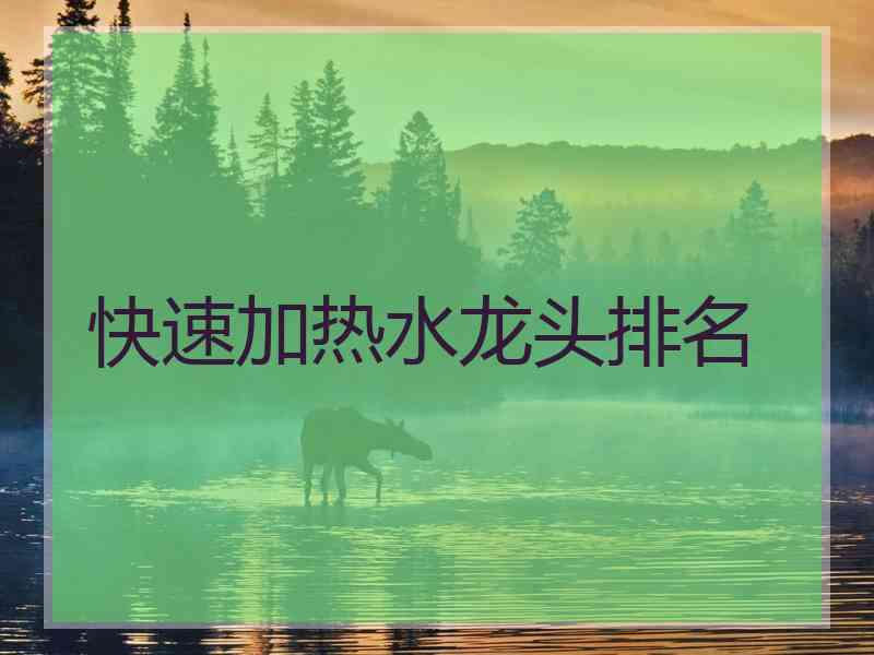 快速加热水龙头排名