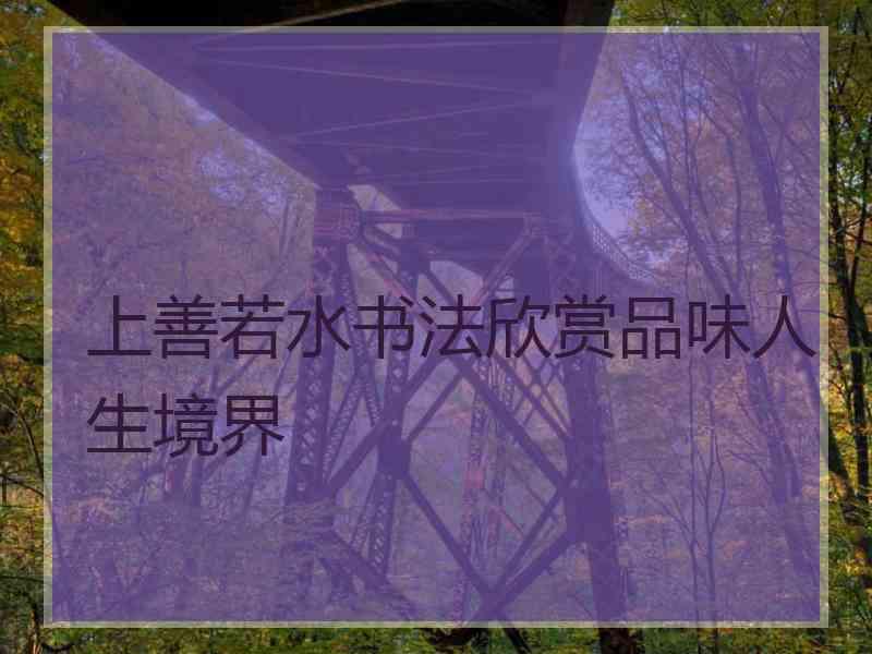 上善若水书法欣赏品味人生境界