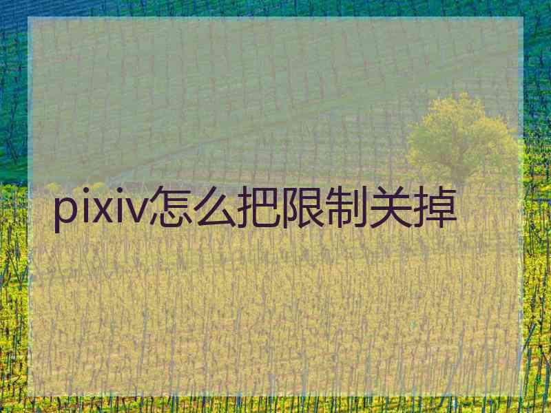 pixiv怎么把限制关掉