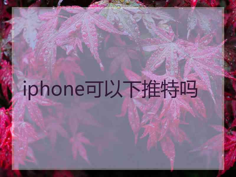 iphone可以下推特吗