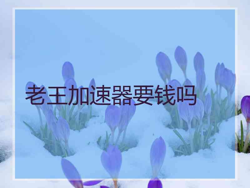 老王加速器要钱吗