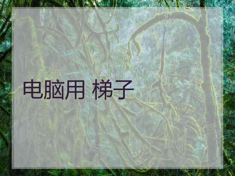 电脑用 梯子