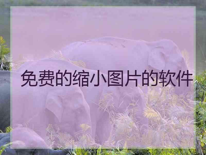 免费的缩小图片的软件