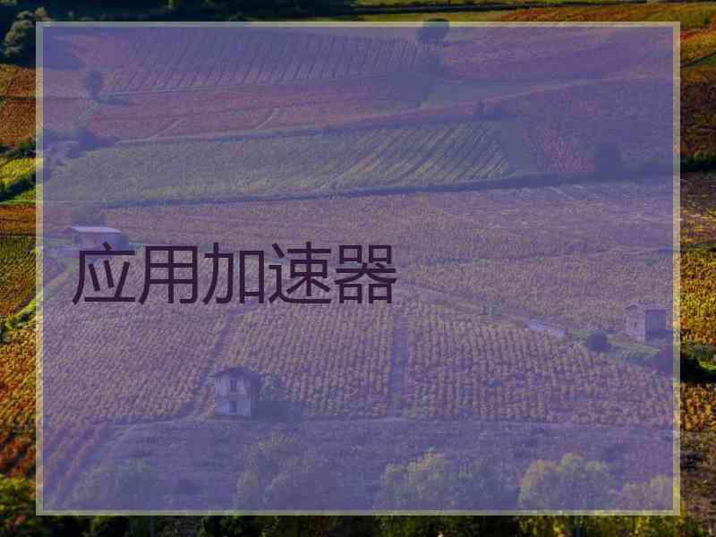应用加速器