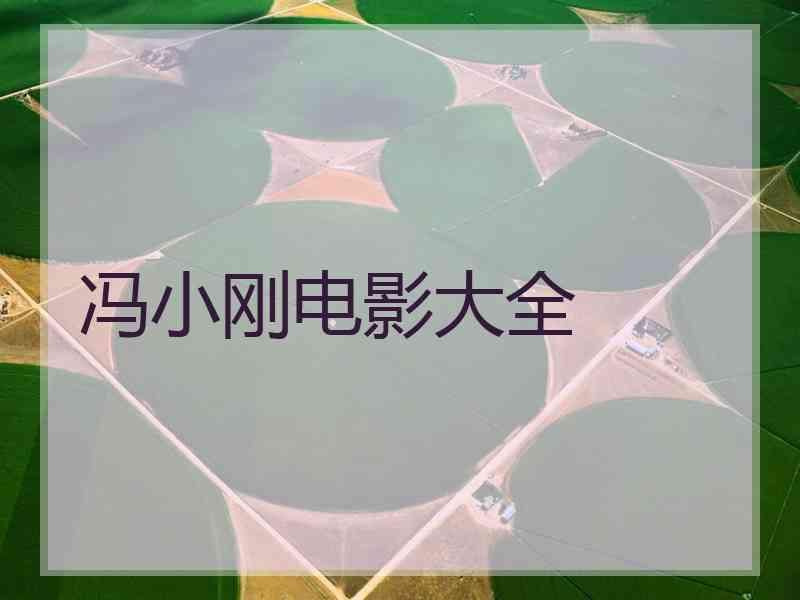 冯小刚电影大全