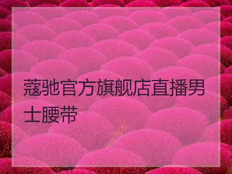 蔻驰官方旗舰店直播男士腰带