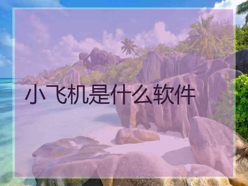 小飞机是什么软件