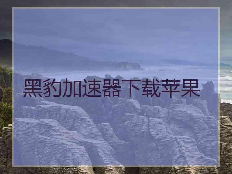 黑豹加速器下载苹果