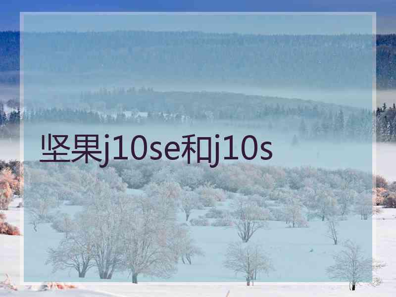 坚果j10se和j10s