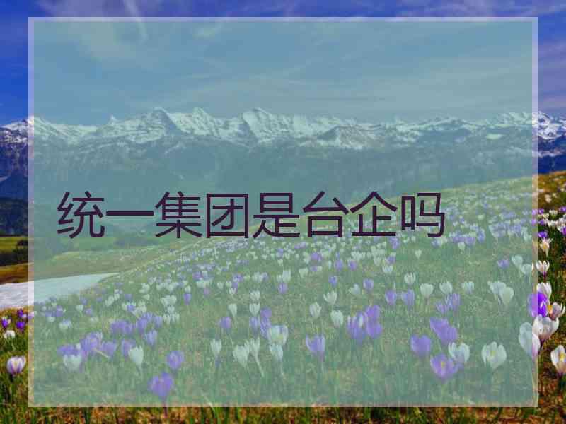 统一集团是台企吗