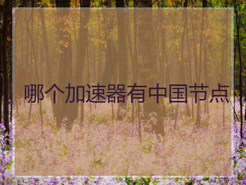 哪个加速器有中国节点