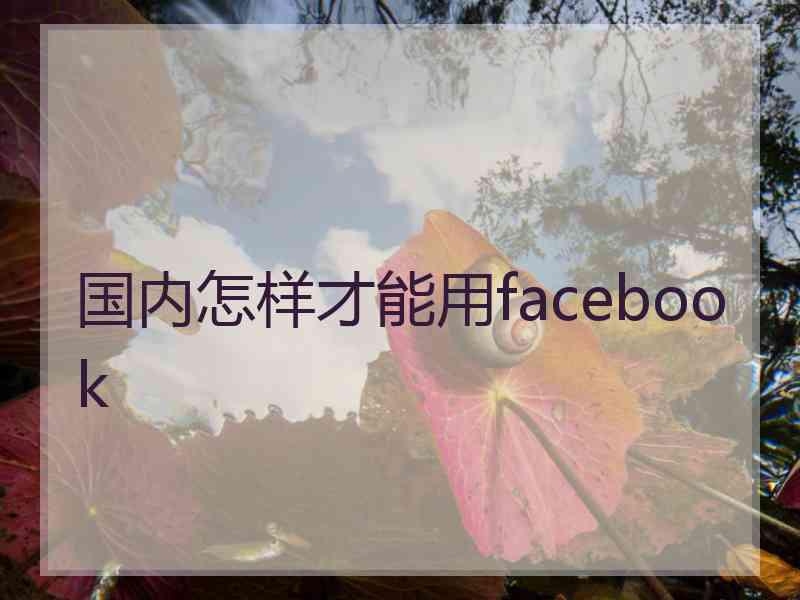 国内怎样才能用facebook