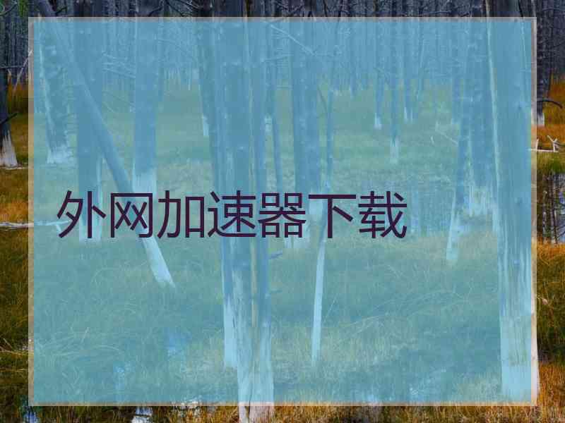 外网加速器下载
