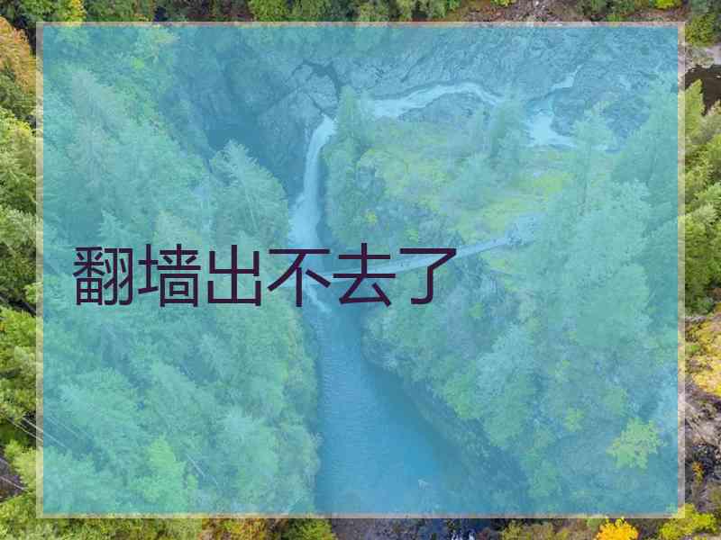 翻墙出不去了