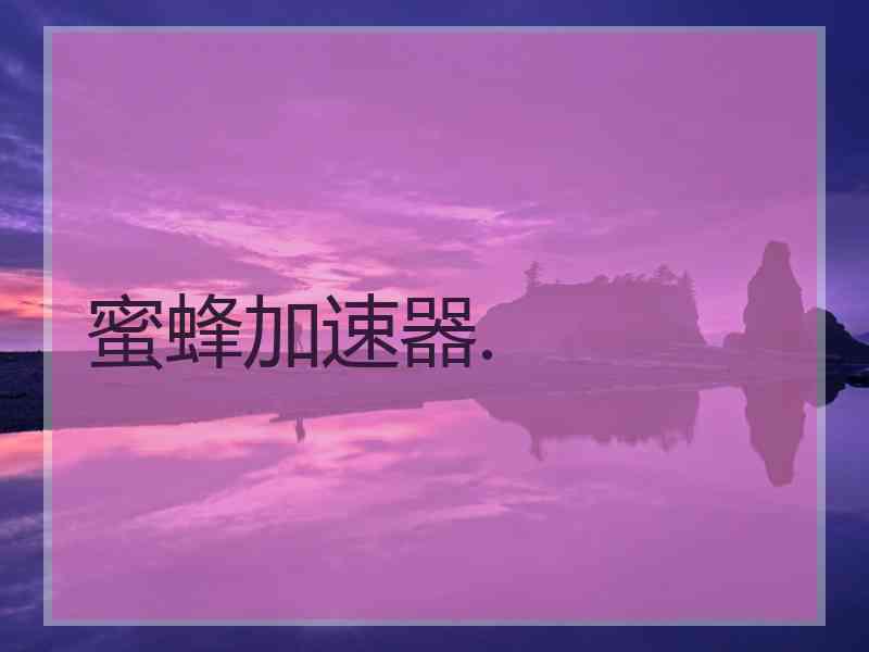 蜜蜂加速器.